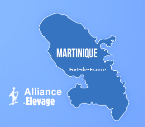Alliance Pastorale Martinique