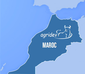 Agridev Maroc